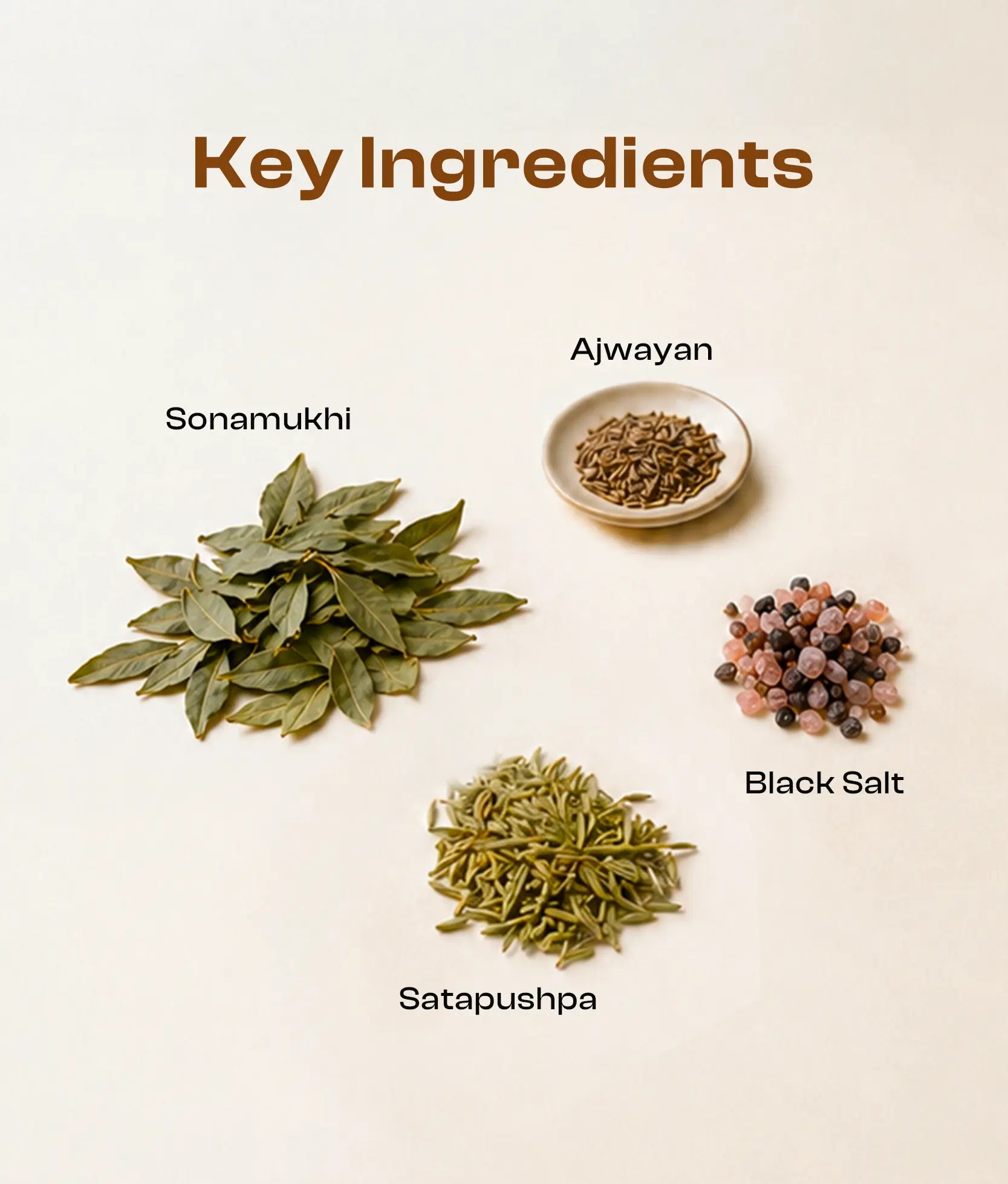 Ayurvedic Churna Ingredients for Constipation 